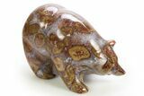 Realistic Polished Colorful Jasper/Agate Bear - India #308466-1